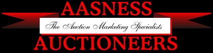 aasness-logo2.gif (7250 bytes)