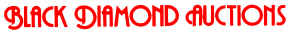 blackdiamond-logo.gif (2401 bytes)