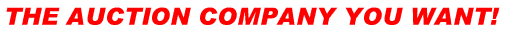 companyyouwant.gif (2094 bytes)