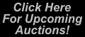 Click here for upcoming auction!