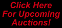 Click here for upcoming Auction!